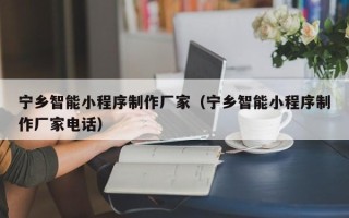 海盐宁乡智能小程序制作厂家（宁乡智能小程序制作厂家电话）