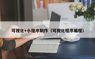 海盐可视化+小程序制作（可视化程序编程）